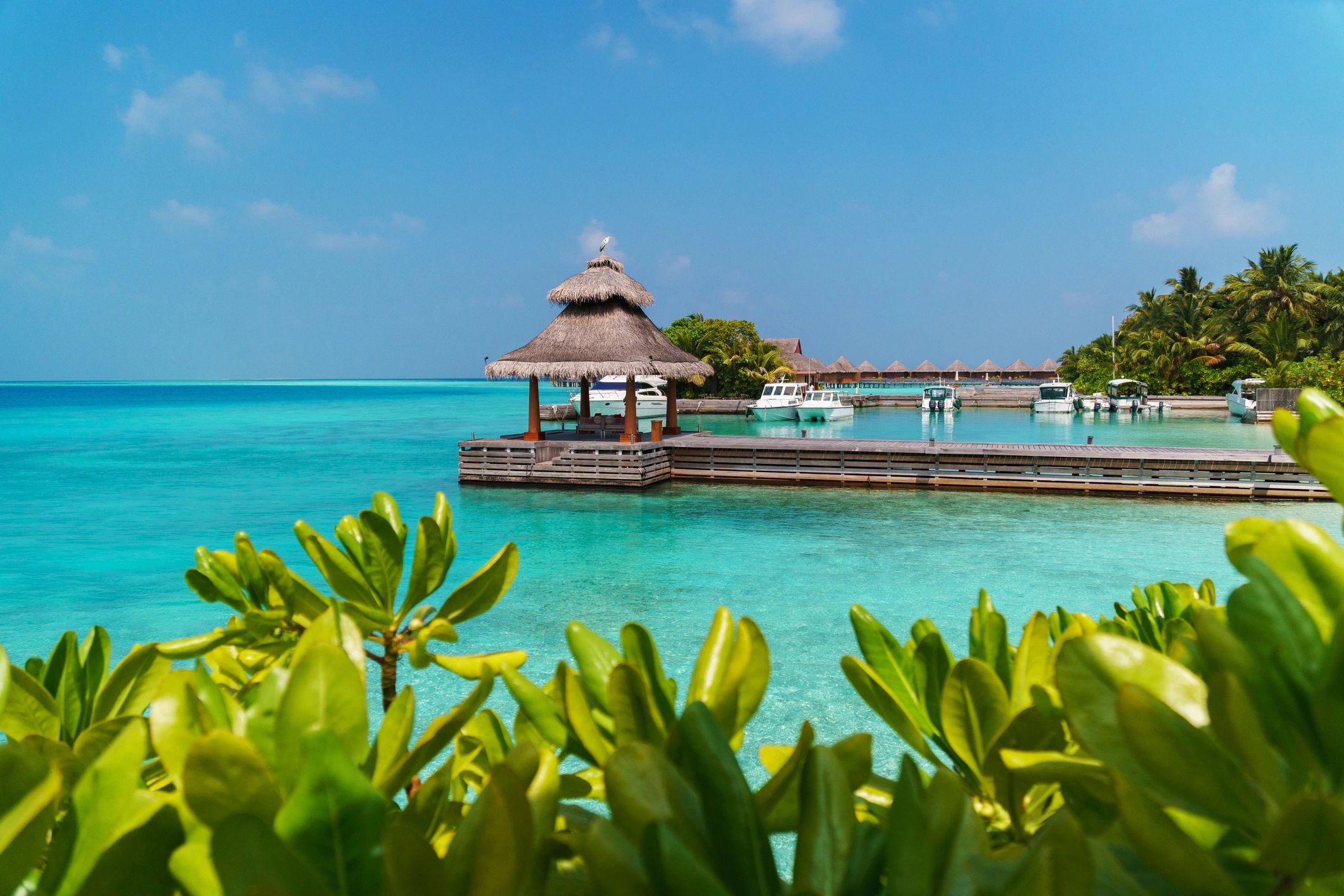Overwater bungalow in the Maldives above clear blue water