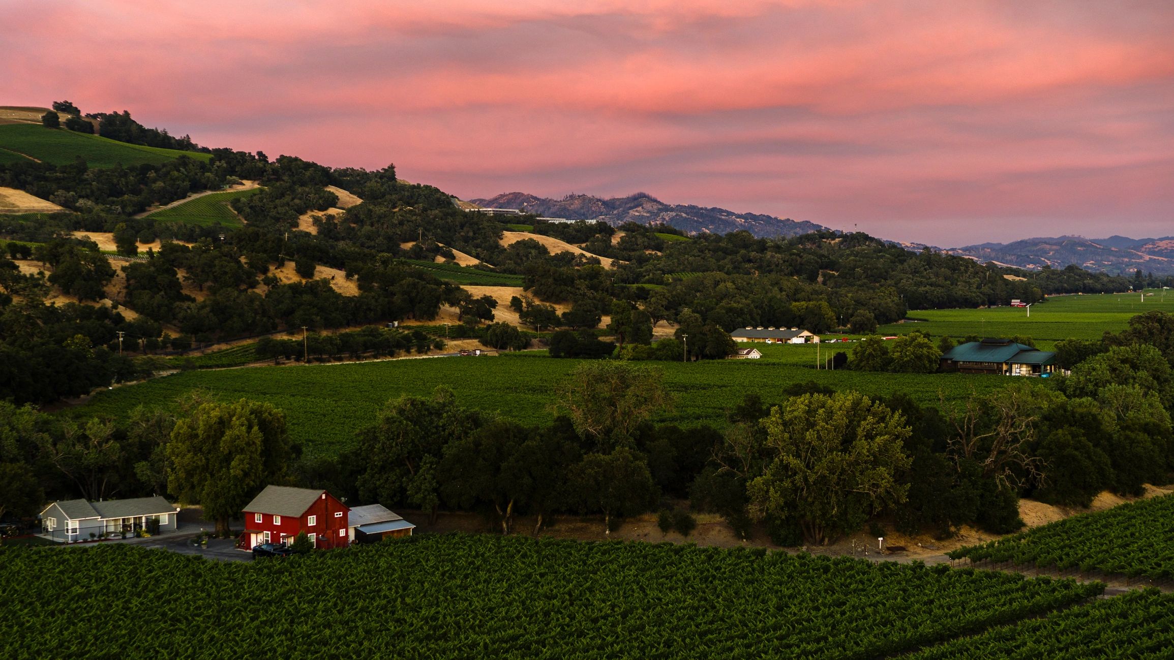 Vineyard estate and countryside landscape