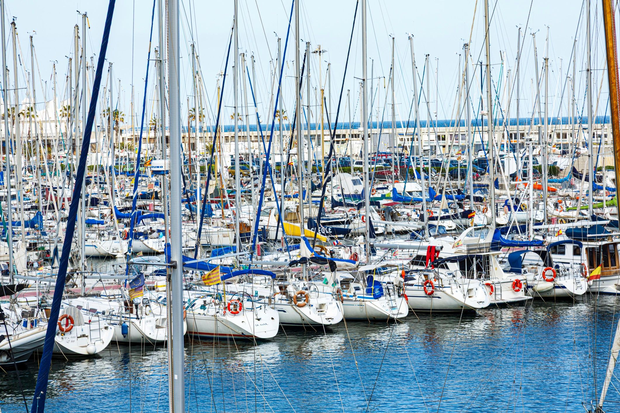 Sunny marina destination with sailboats