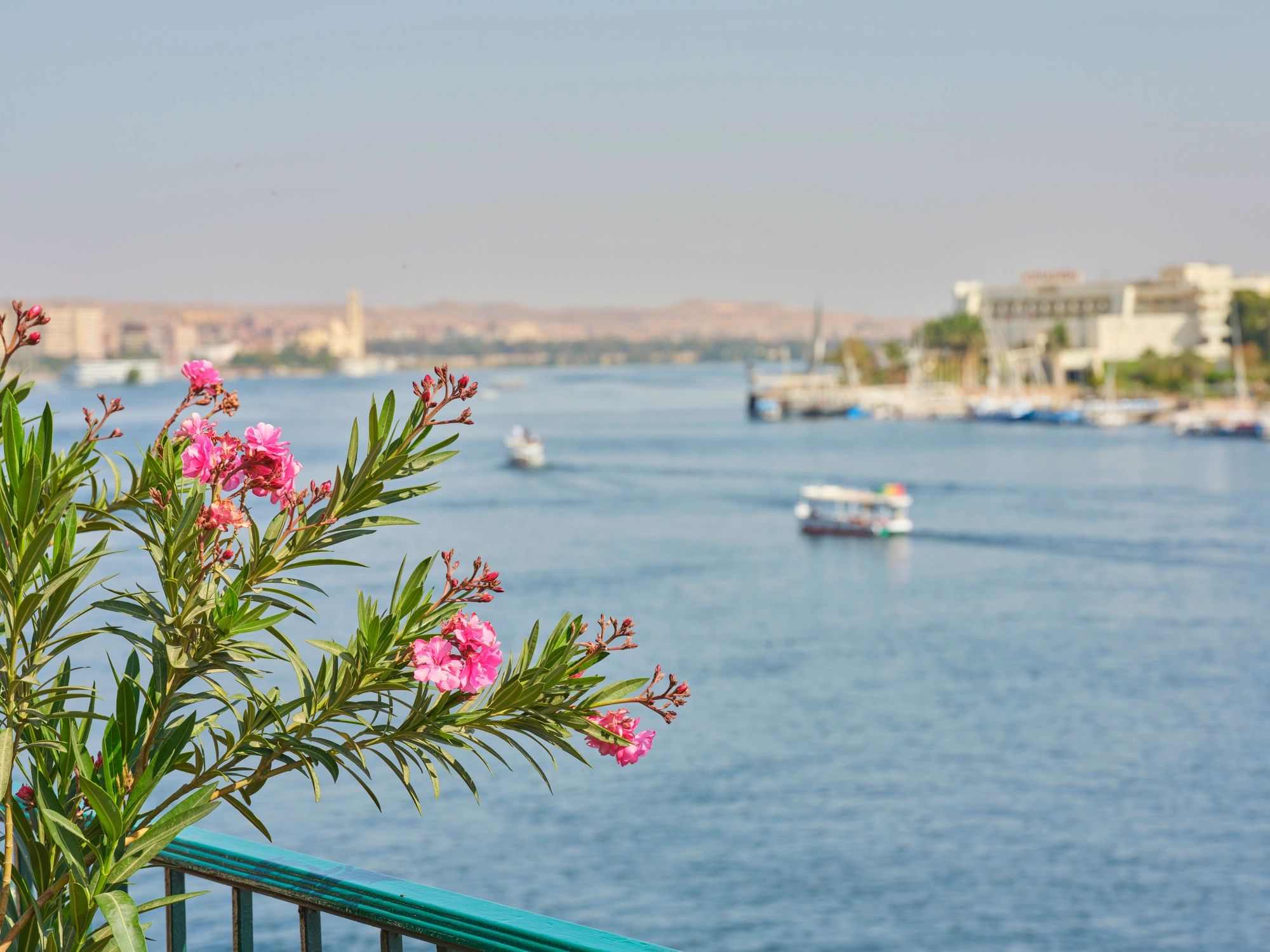 View over the Nile River in Egypt from a cruise setting